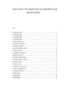 2025至2030中國馬桶清潔劑行業市場深度研究與戰略咨詢分析報告