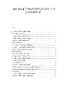 2025-2030皮具手袋市場消費需求現狀解析與財富增長詳細規劃文獻
