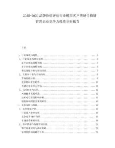 2025-2030品牌價值評估行業(yè)模型客戶情感價值鏈管理企業(yè)競爭力投資分析報告