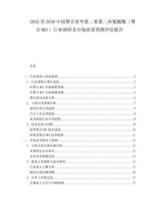 2025至2030中國聚合亞甲基二苯基二異氰酸酯（聚合MDI）行業調研及市場前景預測評估報告