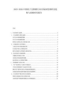 2025-2030中國質子交換膜行業市場深度調研及趨勢與前瞻研究報告