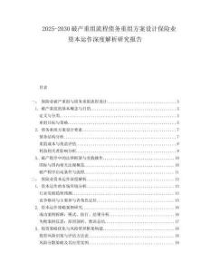 2025-2030破產(chǎn)重組流程債務重組方案設計保險業(yè)資本運作深度解析研究報告