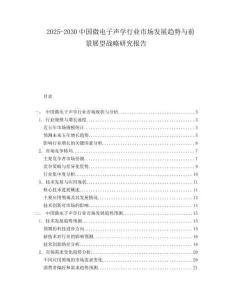 2025-2030中國(guó)微電子聲學(xué)行業(yè)市場(chǎng)發(fā)展趨勢(shì)與前景展望戰(zhàn)略研究報(bào)告