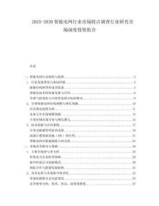 2025-2030智能電網行業市場特點調查行業研究市場深度投資組合