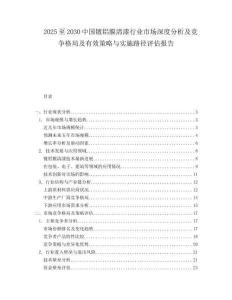 2025至2030中國鍍鋁膜清漆行業(yè)市場深度分析及競爭格局及有效策略與實(shí)施路徑評(píng)估報(bào)告