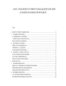 2025-2030歐洲汽車零配件市場動態供需分析及跨文化投資評估規劃分析研究報告