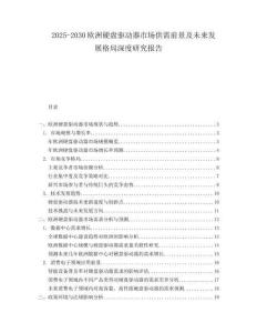 2025-2030歐洲硬盤驅動器市場供需前景及未來發展格局深度研究報告