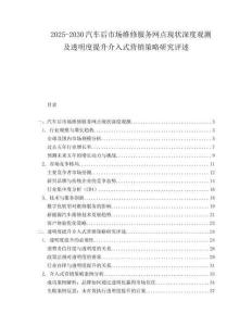 2025-2030汽車后市場維修服務網點現狀深度觀測及透明度提升介入式營銷策略研究評述