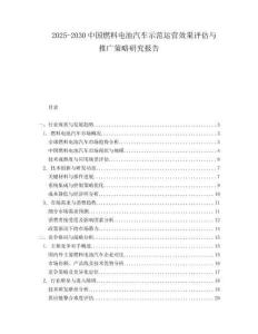 2025-2030中國燃料電池汽車示范運營效果評估與推廣策略研究報告