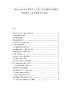 2025-2030評價中國人工智能行業市場深度調研及投資潛力與投資策略研究報告