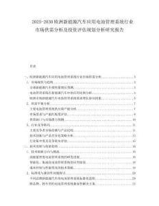 2025-2030歐洲新能源汽車應用電池管理系統行業市場供需分析及投資評估規劃分析研究報告