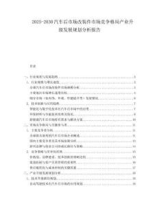 2025-2030汽車后市場改裝件市場競爭格局產(chǎn)業(yè)升級發(fā)展規(guī)劃分析報告