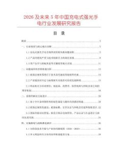 2026及未來5年中國充電式強(qiáng)光手電行業(yè)發(fā)展研究報告