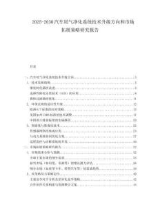 2025-2030汽車尾氣凈化系統技術升級方向和市場拓展策略研究報告