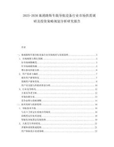 2025-2030塞浦路斯車載導航設備行業市場供需調研及投資策略規劃分析研究報告