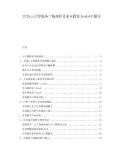 2025云計算服務市場現(xiàn)狀及未來投資方向分析報告
