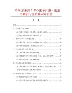 2026及未來5年中國單片膠／紙張電暈機行業發展研究報告