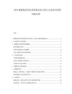 2025碳捕集封存技術(shù)政策支持力度與示范項(xiàng)目投資回報(bào)分析