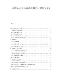 2025民辦中小學(xué)信息化建設(shè)投入與效果評(píng)估報(bào)告