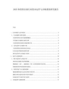 2025體育俱樂部行業資本運作與并購重組研究報告