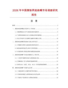 2026年中國(guó)煤粉兩焰燒嘴市場(chǎng)調(diào)查研究報(bào)告
