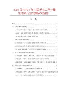 2026及未來5年中國手電二用計量加油泵行業(yè)發(fā)展研究報告