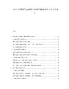 2025中國(guó)燃?xì)馄髽I(yè)數(shù)字化轉(zhuǎn)型標(biāo)桿案例對(duì)比分析報(bào)告