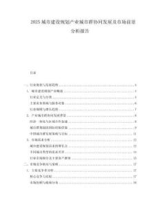 2025城市建設規劃產業城市群協同發展及市場前景分析報告