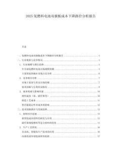 2025氫燃料電池雙極板成本下降路徑分析報(bào)告