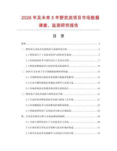2026年及未來(lái)5年野炊炭項(xiàng)目市場(chǎng)數(shù)據(jù)調(diào)查、監(jiān)測(cè)研究報(bào)告