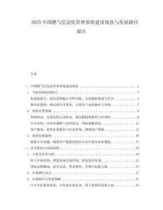 2025中國(guó)燃?xì)庑畔⒒芾硐到y(tǒng)建設(shè)現(xiàn)狀與發(fā)展路徑報(bào)告