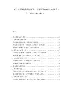 2025中國椰油酰胺丙基二甲胺行業企業文化塑造與員工凝聚力提升報告