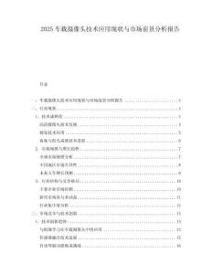 2025車載攝像頭技術應用現(xiàn)狀與市場前景分析報告