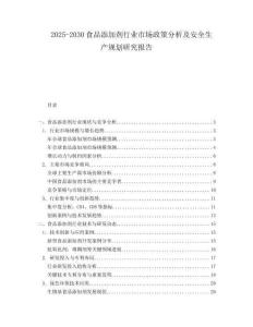 2025-2030食品添加劑行業市場政策分析及安全生產規劃研究報告
