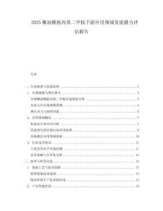 2025椰油酰胺丙基二甲胺下游應用領域發展潛力評估報告