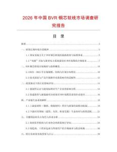 2026年中國BVR銅芯軟線市場調查研究報告