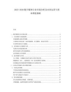 2025-2030數字媒體行業市場分析及內容運營與資本增值策略