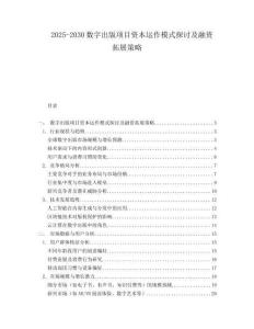 2025-2030數字出版項目資本運作模式探討及融資拓展策略