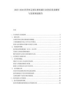 2025-2030世界杯足球比賽轉播行業供給需求解析與發展規劃報告