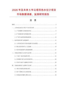 2026年及未來5年云母雙色水位計項目市場數據調查、監測研究報告
