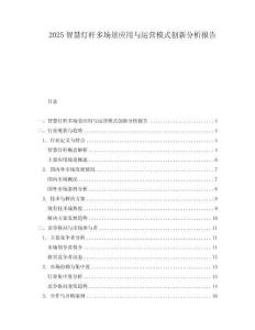 2025智慧燈桿多場景應用與運營模式創(chuàng)新分析報告