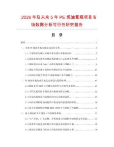 2026年及未來5年PE焗油膏瓶項目市場數據分析可行性研究報告