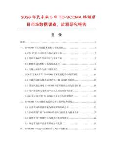 2026年及未來5年TD-SCDMA終端項目市場數據調查、監測研究報告