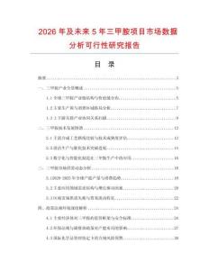 2026年及未来5年三甲胺项目市场数据分析可行性研究报告