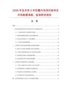 2026年及未來5年防震內泡沫襯墊項目市場數據調查、監測研究報告