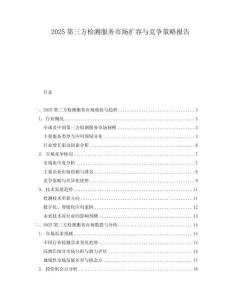 2025第三方檢測(cè)服務(wù)市場(chǎng)擴(kuò)容與競(jìng)爭(zhēng)策略報(bào)告