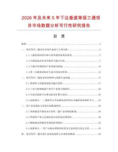 2026年及未來5年下邊垂直等徑三通項目市場數據分析可行性研究報告