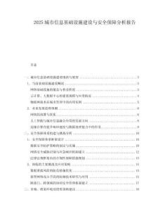 2025城市信息基础设施建设与安全保障分析报告