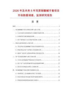 2026年及未來5年雙層耐酸堿手套項(xiàng)目市場(chǎng)數(shù)據(jù)調(diào)查、監(jiān)測(cè)研究報(bào)告