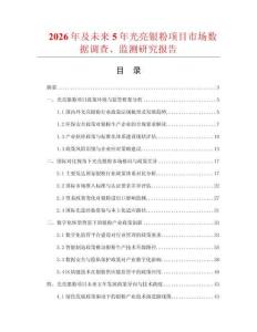 2026年及未來5年光亮銀粉項目市場數(shù)據(jù)調查、監(jiān)測研究報告